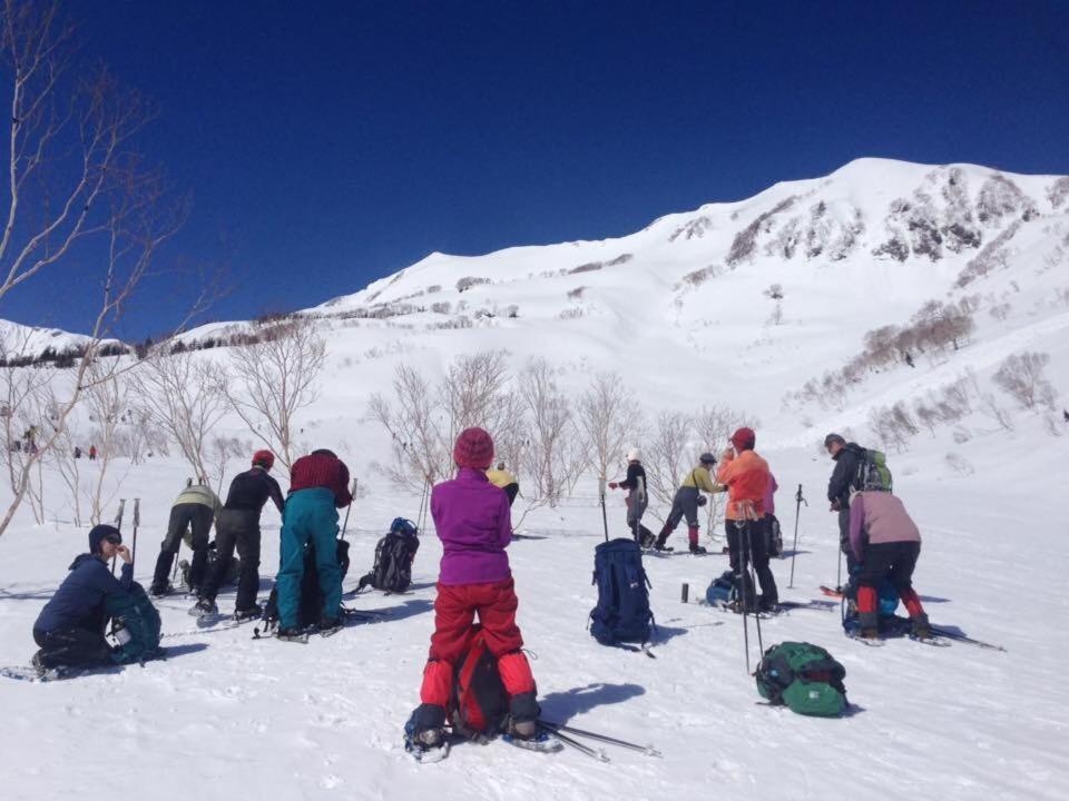 Hakuba Vivaldi酒店 外观 照片
